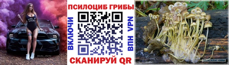 Псилоцибиновые грибы мухоморы  Темрюк 